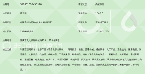 重庆中龙在线电子商务股份